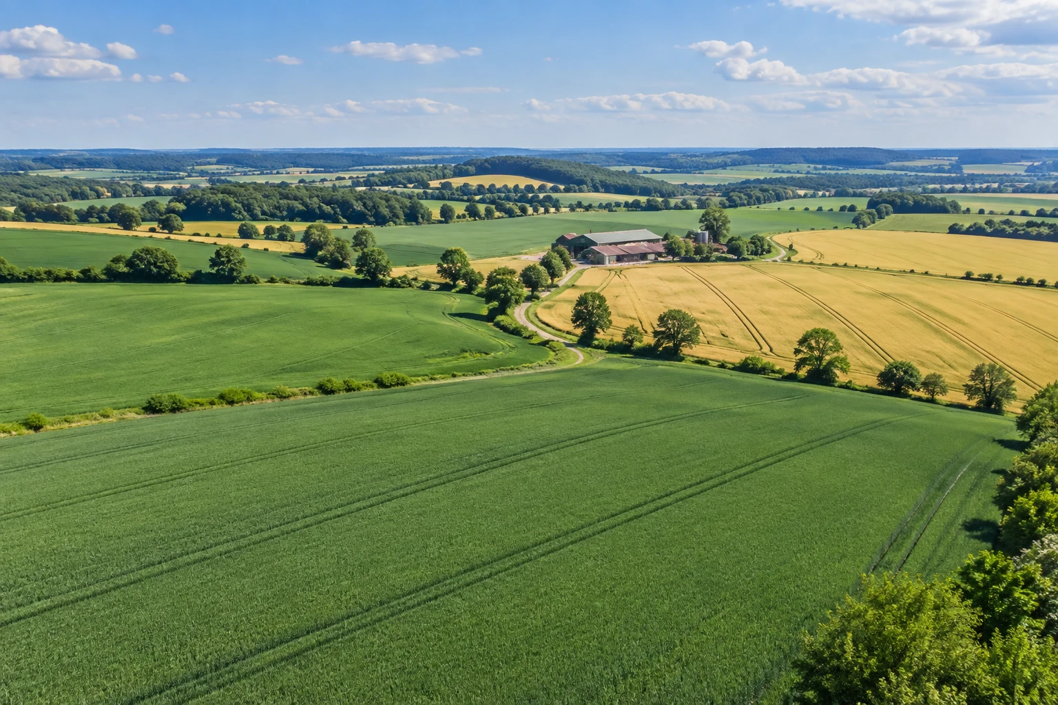 Green and golden fields with farm tracks and agricultural buildings